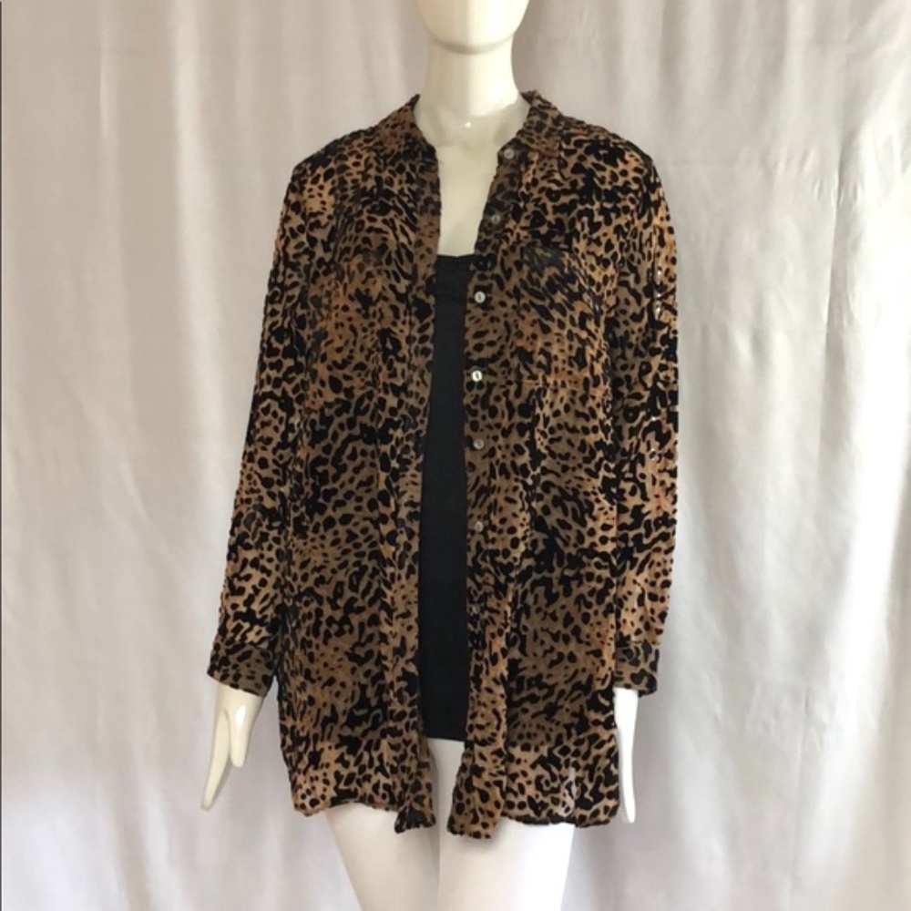 NEW VELVET/SHEER BLOUSE